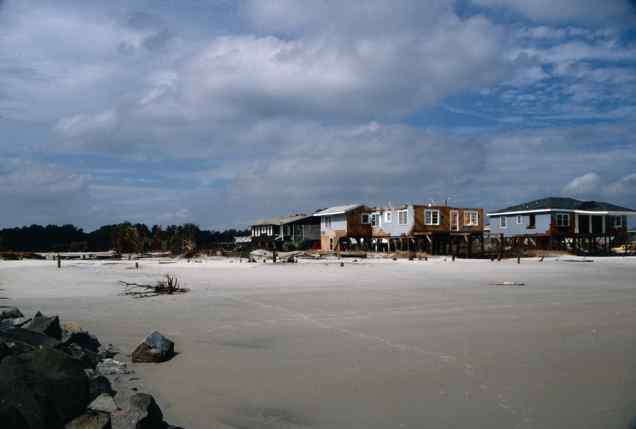 Pawleys Island (Wes Tyler)